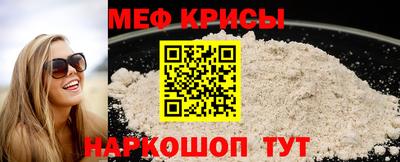 стаф Кингисепп