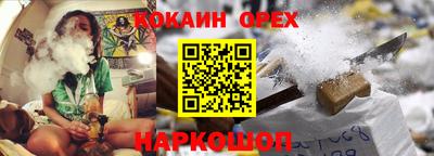 стаф Кингисепп