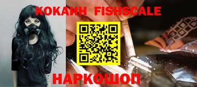 стаф Кингисепп