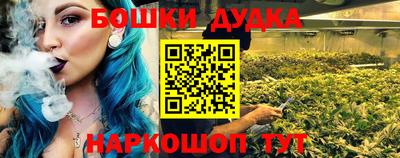 стаф Кингисепп