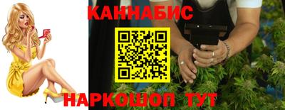 стаф Кингисепп