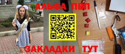 стаф Кингисепп