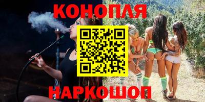 стаф Кингисепп
