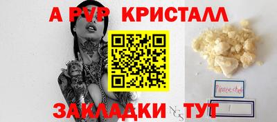 стаф Кингисепп