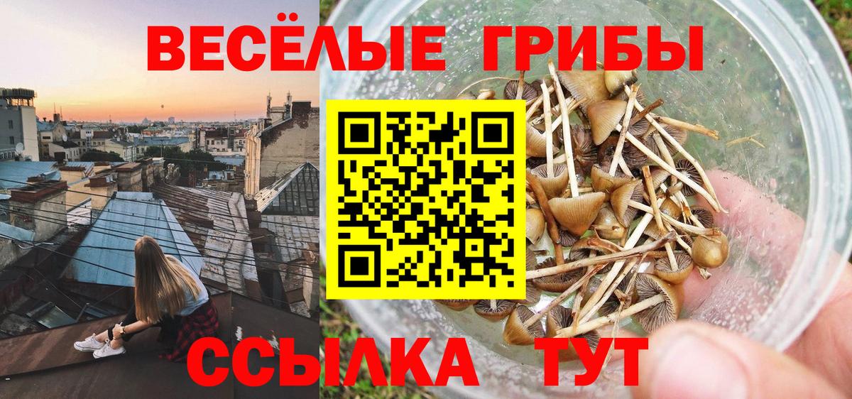 Псилоцибиновые грибы прущие грибы Чусовой